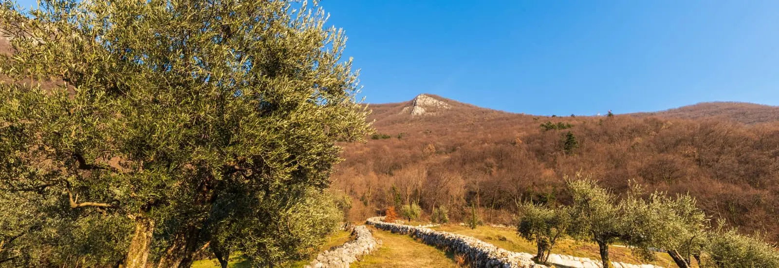 Antico Trail del Contrabbandiere — image 1 sur 3