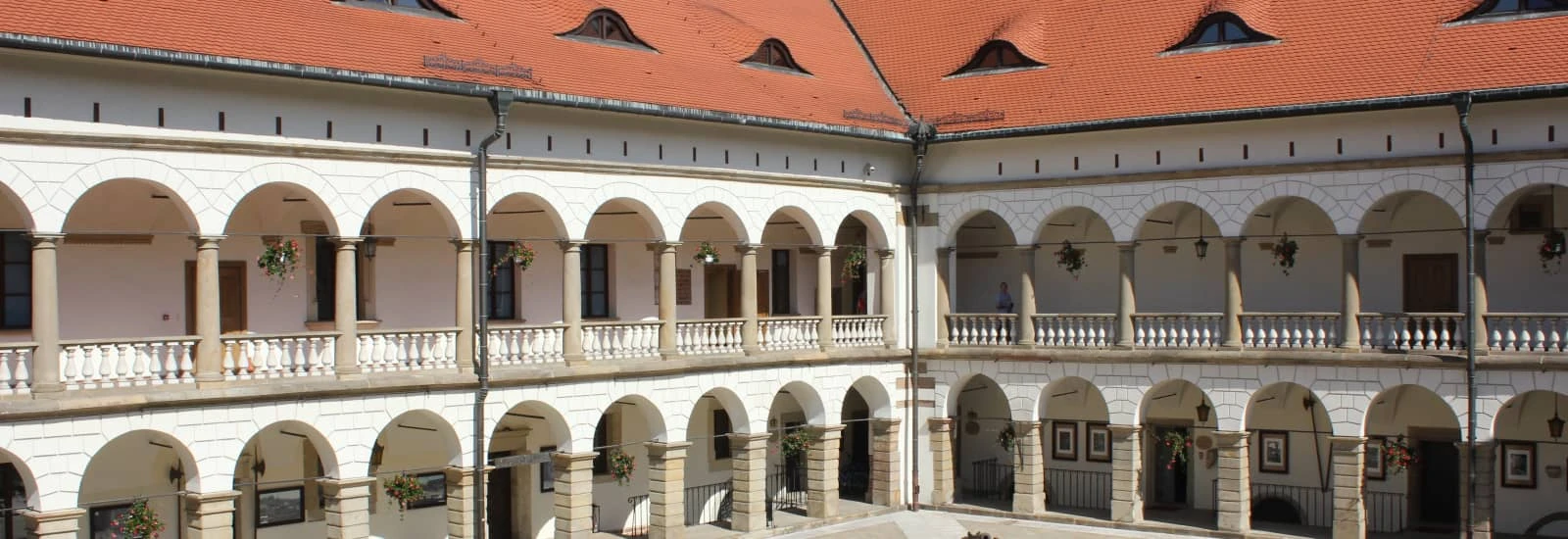 Bieg w pogoni za żubrem — image 1 of 3