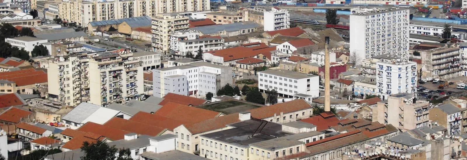 Cancer Warriors by Run In Algeria — image 1 sur 3