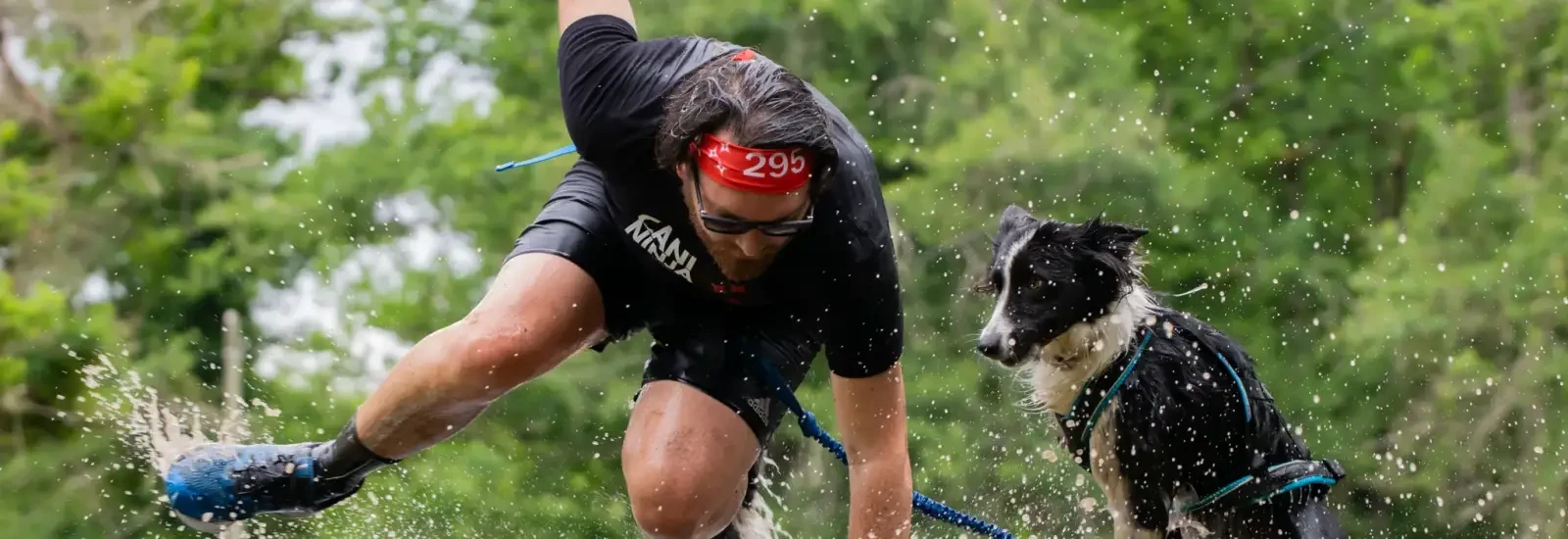 Cani Ninja — image 1 sur 3