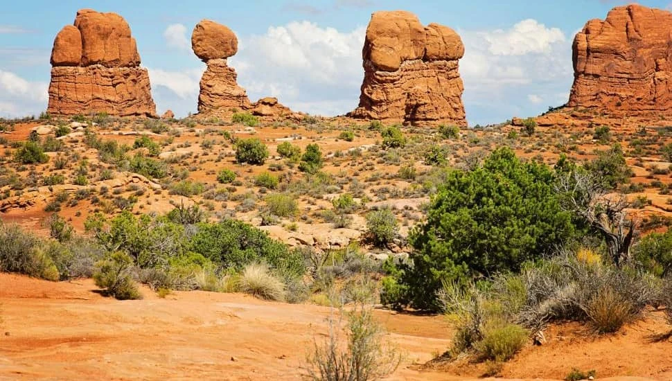 Canyonlands Ultra — zdjęcie 1 z 3
