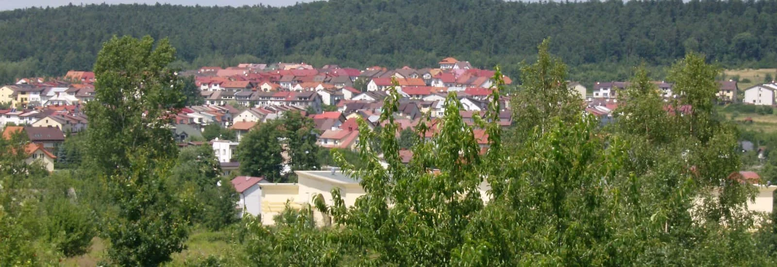 Course avec Drapeau en Main à Piekoszów — image 1 sur 3