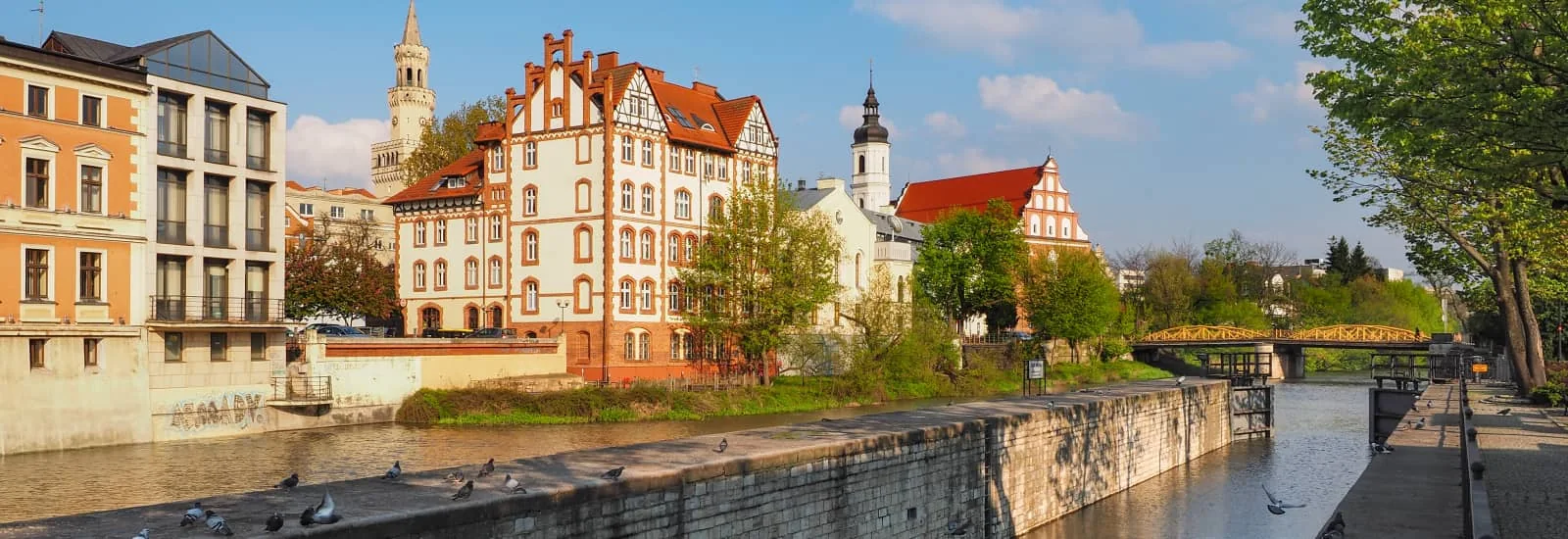 Course de l’Indépendance d’Opole — zdjęcie 1 z 6
