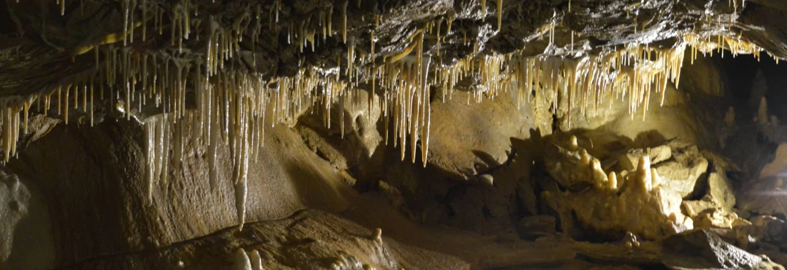 Course de l’Ours des Cavernes, Kletno