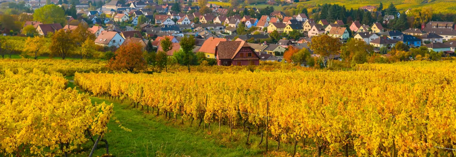 Course des 4 Massifs — zdjęcie 1 z 5