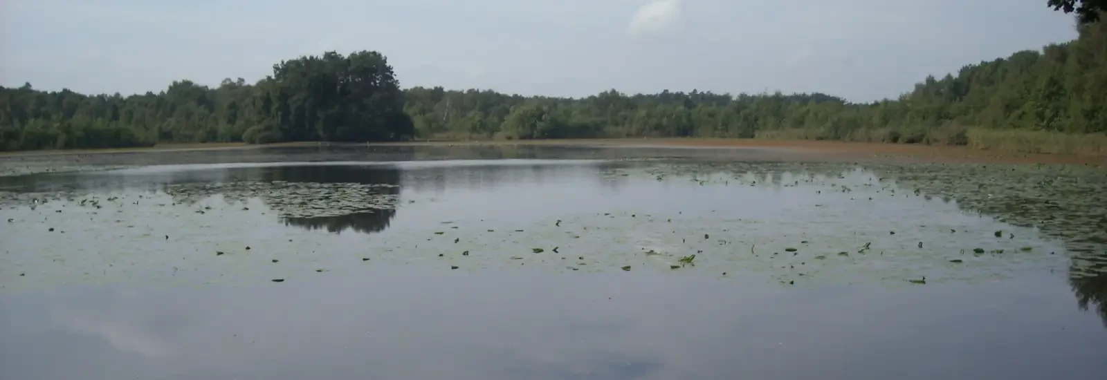 Rando Nature Parigné l’Evêque, Parigné-l'Évêque