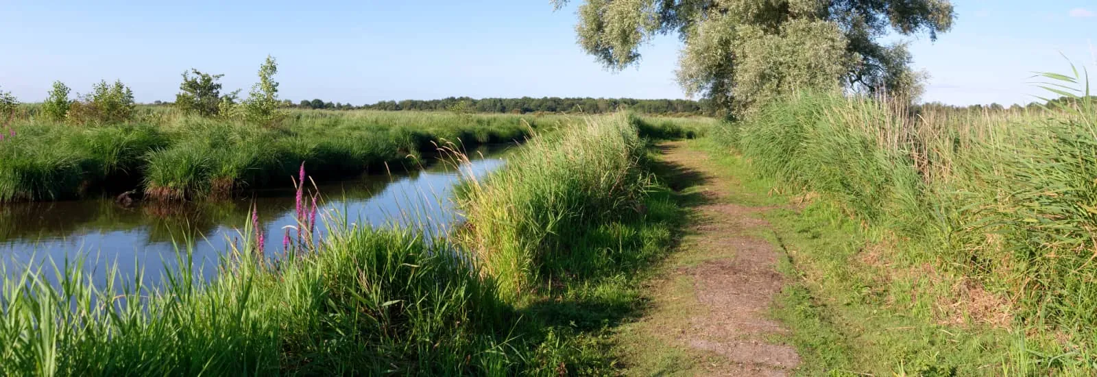 Trail des Bézous d'Chataignes — zdjęcie 1 z 3