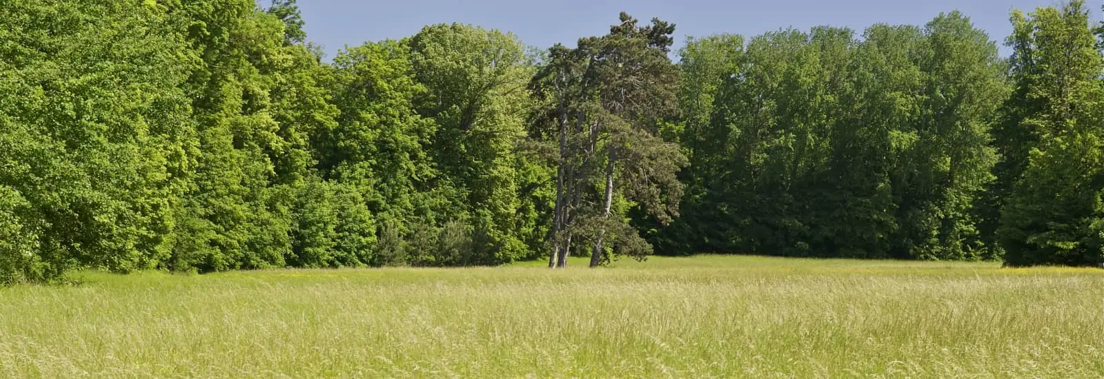 Trail du Val de Sée — zdjęcie 1 z 3