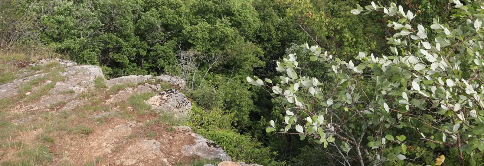 Trail de la Louve