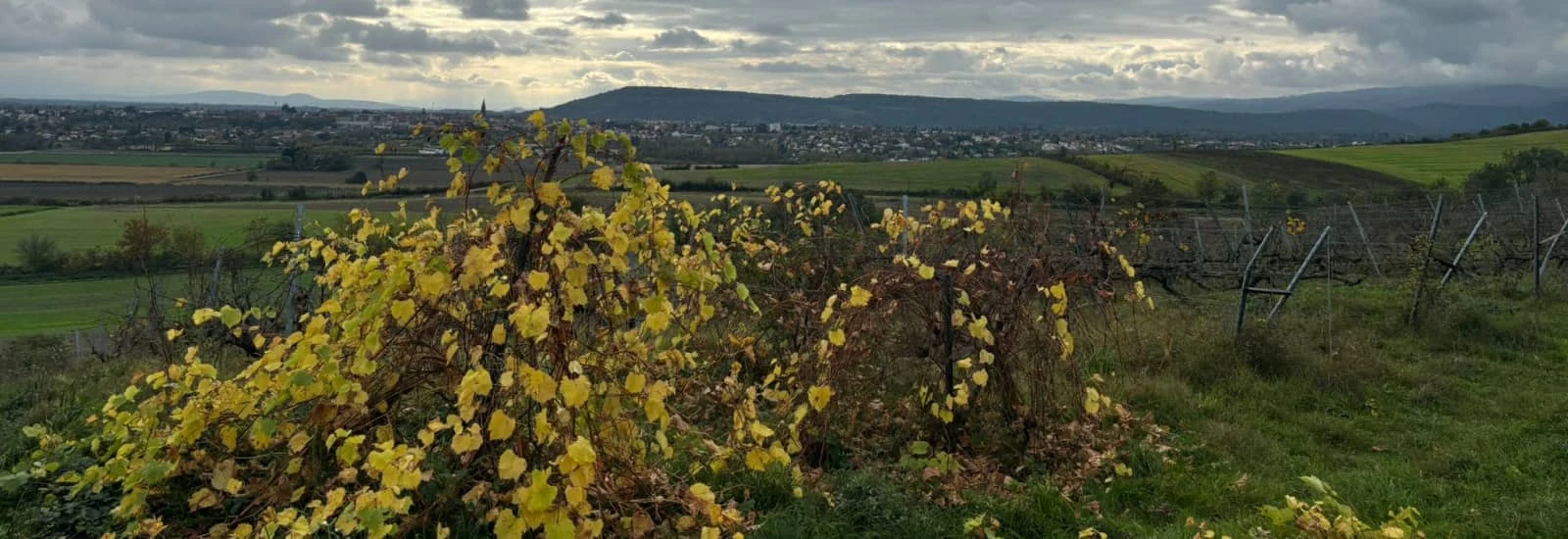 La Brayaude de l'Espoir — εικόνα 1 από 3