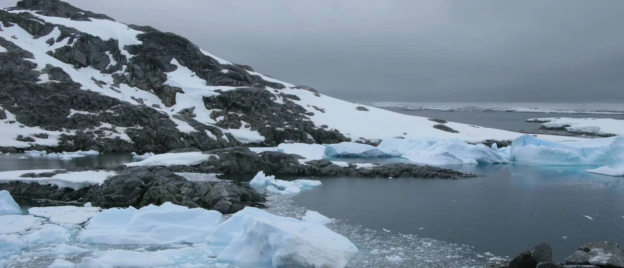 Antarctic Polar Race — zdjęcie 1 z 3