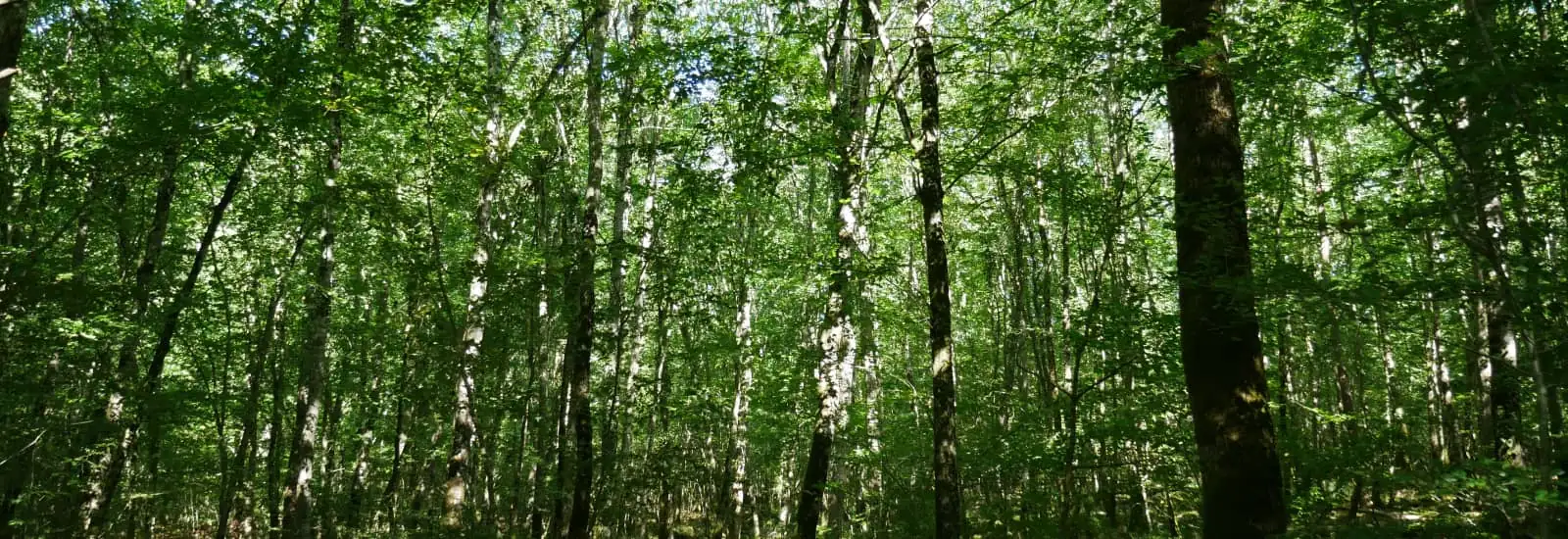 Trail de la Terre Cuite — obrázek 1 z 3