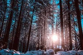 Course d'hiver — zdjęcie 1 z 3