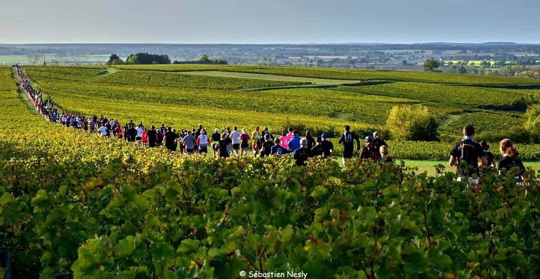 La Pouilly-Sancerre — zdjęcie 1 z 6