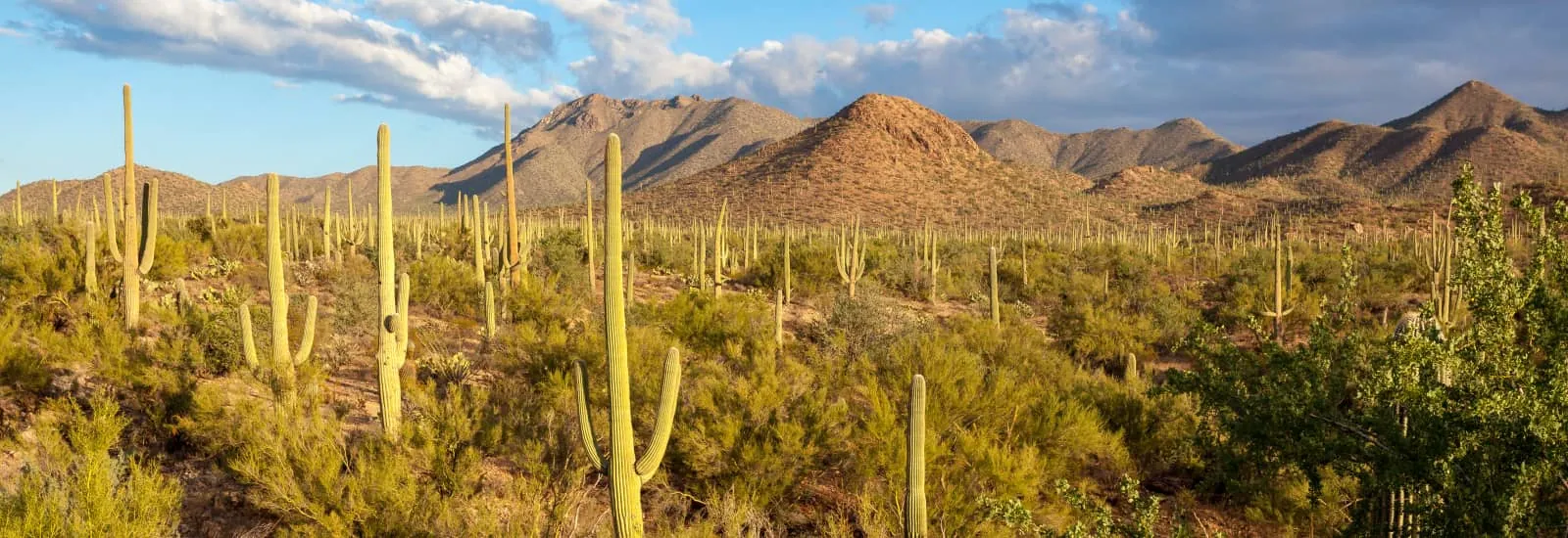 Marathon de Tucson — image 1 sur 6