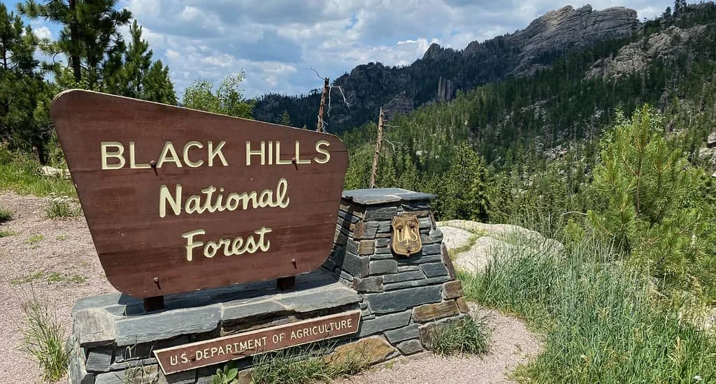 Black Hills Veteran — image 1 sur 5