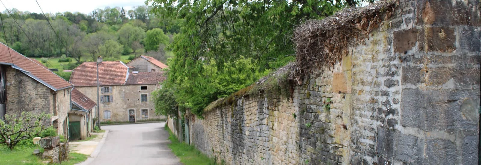 Éco trail de la Vingeanne – Bild 1 von 3