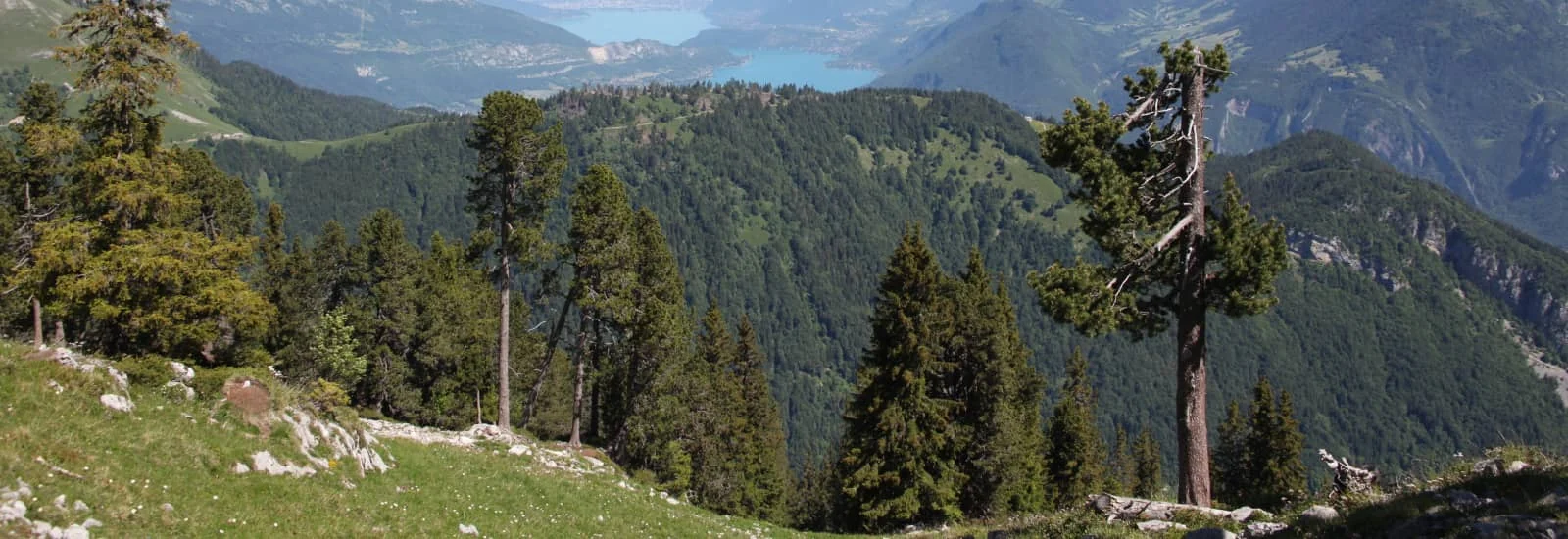 Trail Faverges-Seythenex — zdjęcie 1 z 3