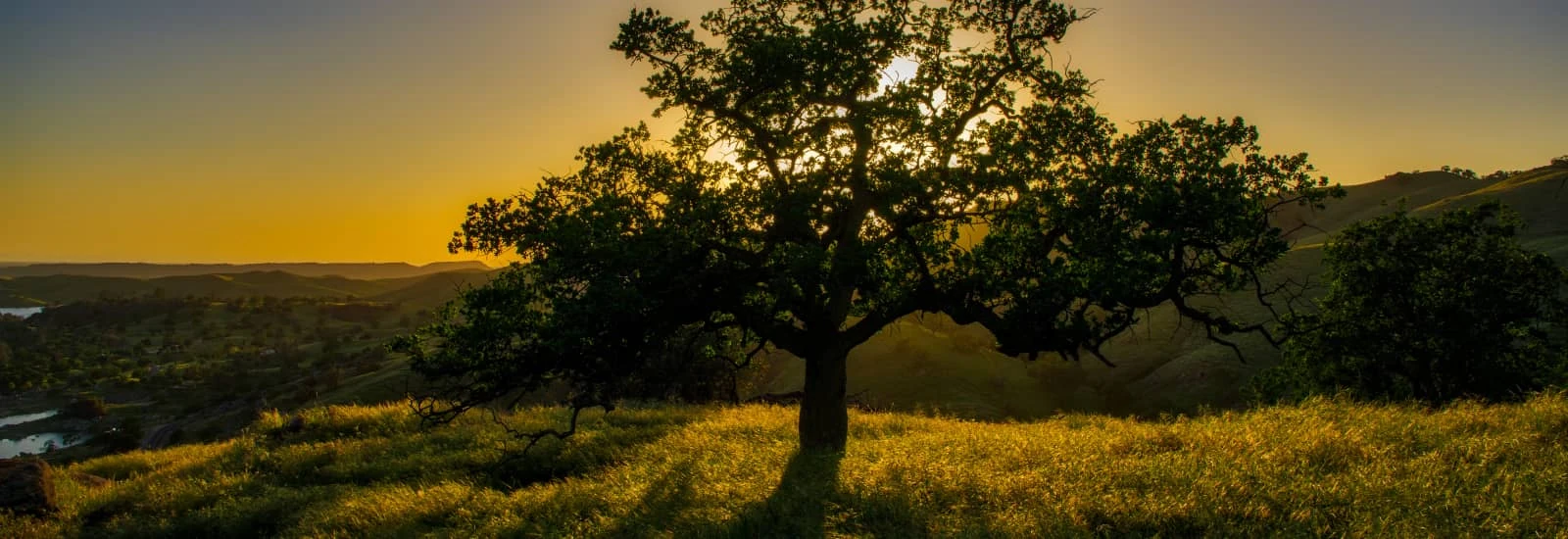 San Joaquin River Trail 100k Run — zdjęcie 1 z 3