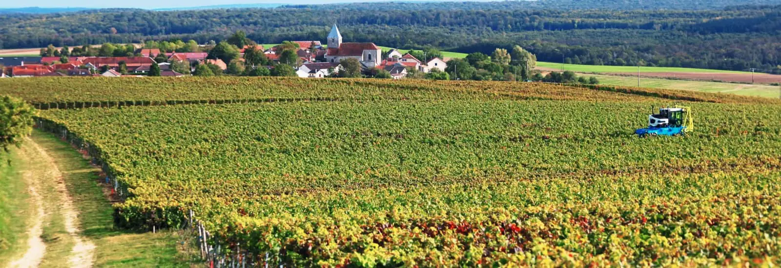 Bar-Sur-Aube Chemins Blancs — zdjęcie 1 z 3