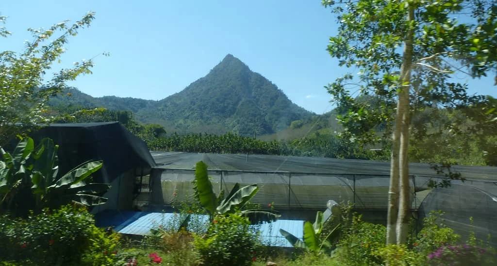 UCI Gran Fondo Hainan — zdjęcie 1 z 5