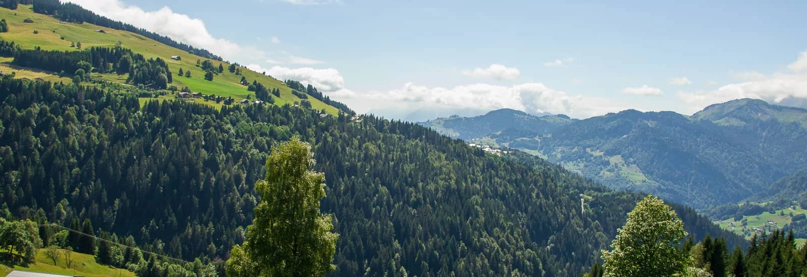 Saint Off en Trail — zdjęcie 1 z 5