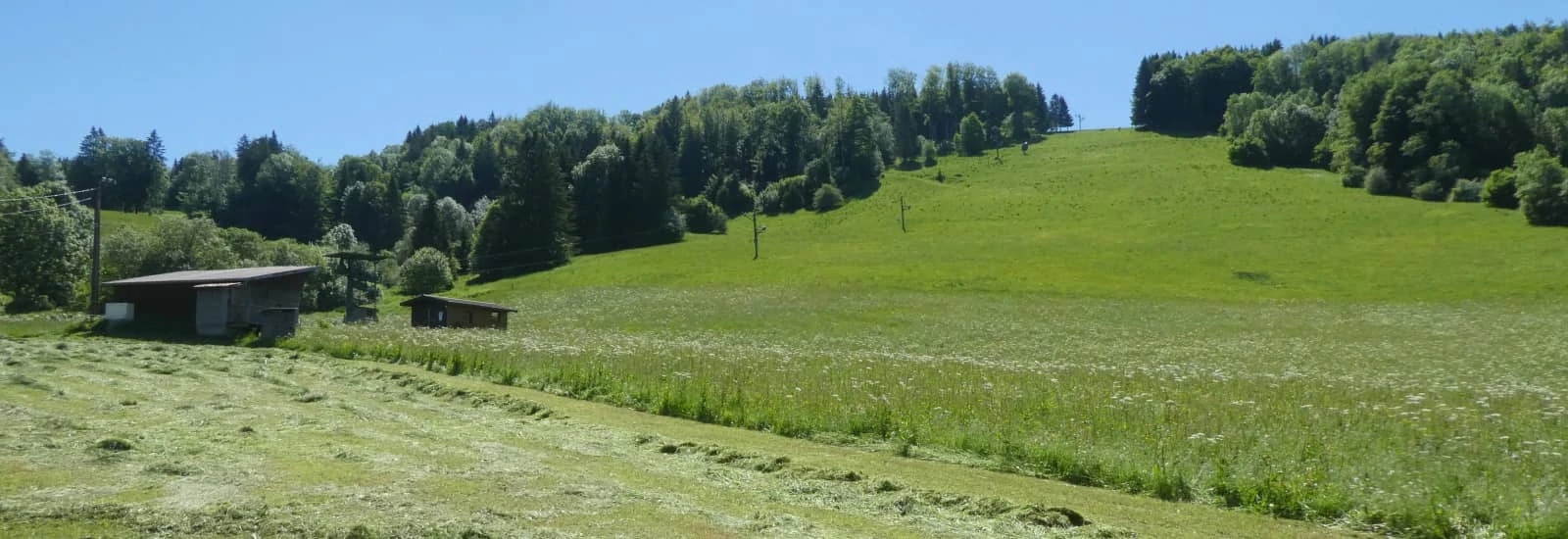 Val Foncine Trail — image 1 sur 11