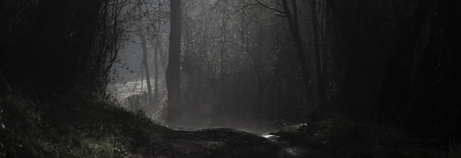 Trail Nocturne la Frontale — zdjęcie 1 z 3