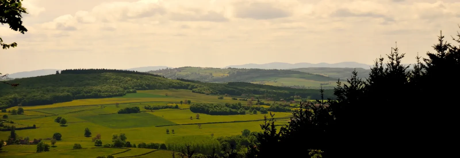 Trail du Revermont — zdjęcie 1 z 3