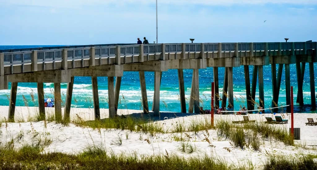Pie Gobbler de Panama City Beach — zdjęcie 1 z 3
