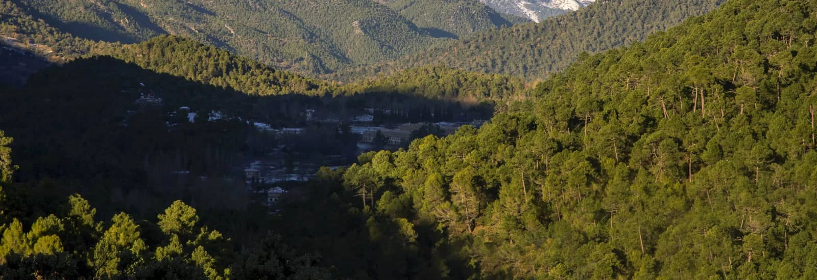Ultra Trail Bosques del Sur — obrázek 1 z 3