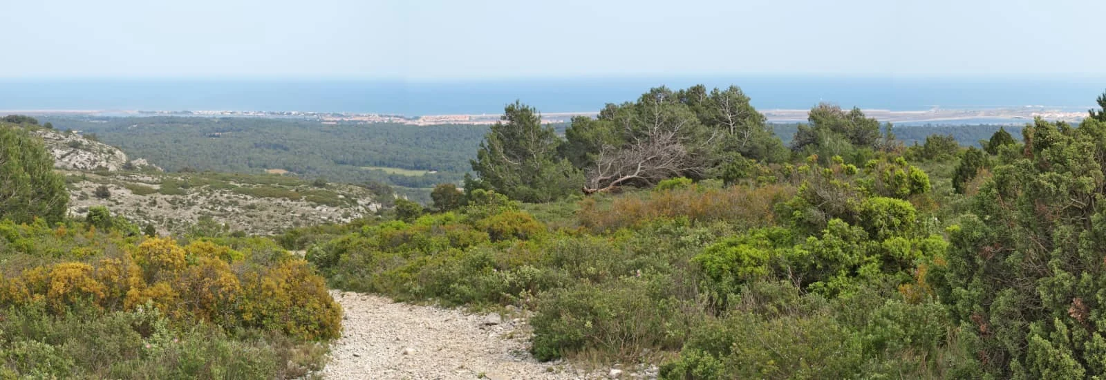 Gruissan Poli Trail — zdjęcie 1 z 3