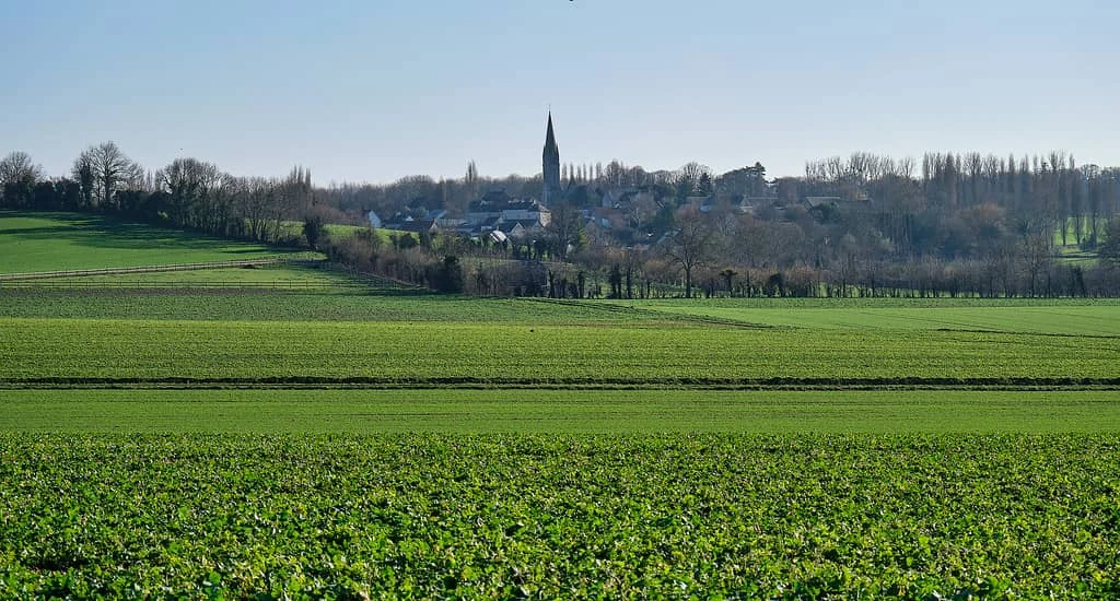 Trail de la Forêt de Caen — छवि 1 3 की