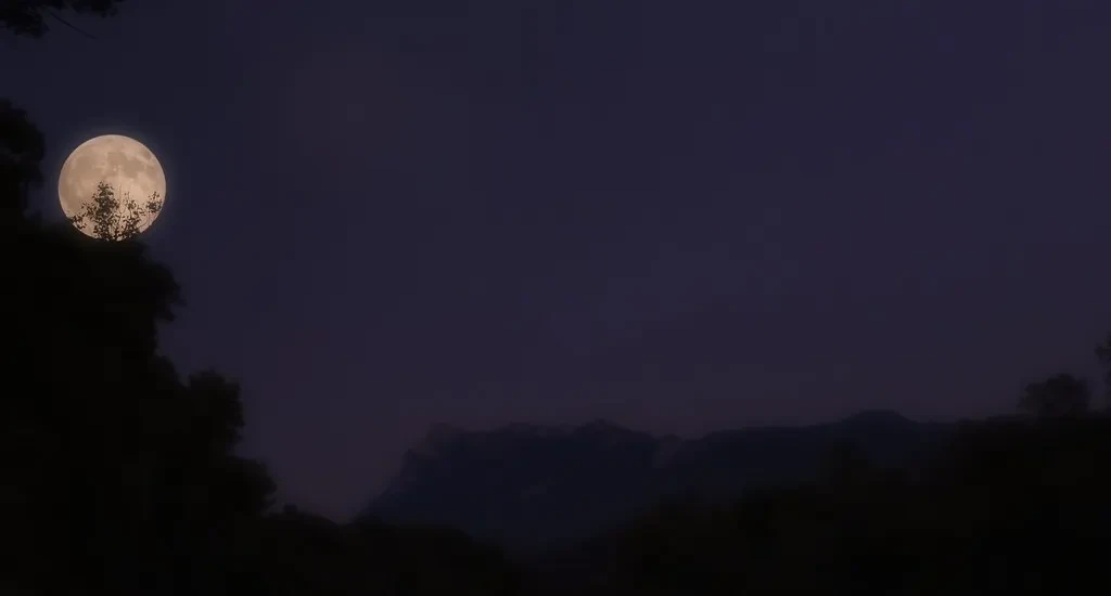 CREST'ZY NIGHT — zdjęcie 1 z 3