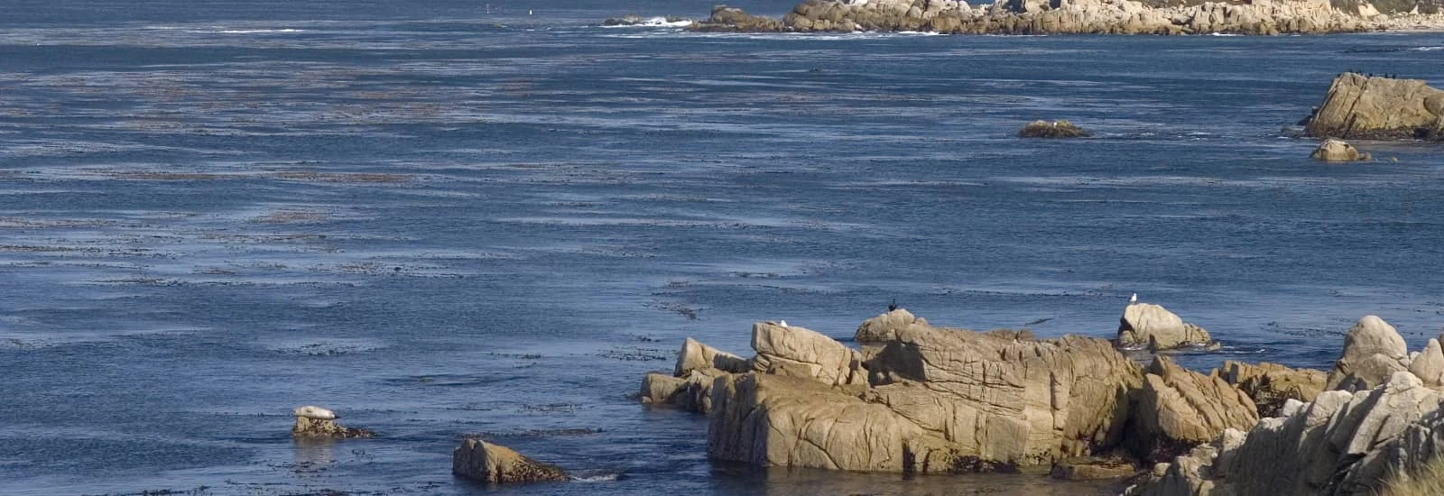 Monterey Bay Half — zdjęcie 1 z 6