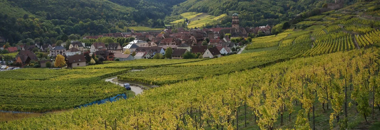 Les Foulées D'Ungersheim — zdjęcie 1 z 3