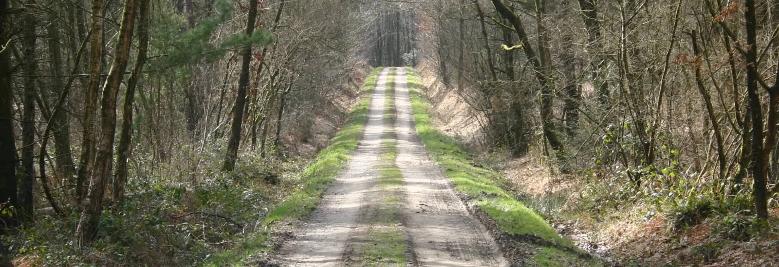 Trail De La Montagne De Gury, Gury