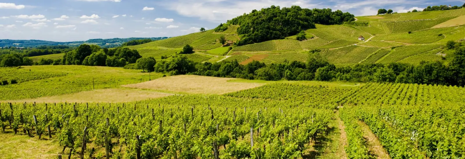 Marathon des Vins du Jura — image 1 sur 3