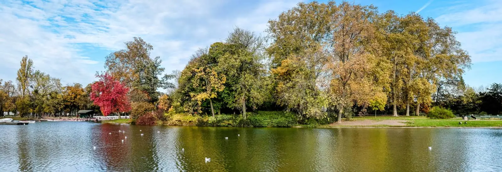 Semi-Marathon du Bois de Vincennes — zdjęcie 1 z 3