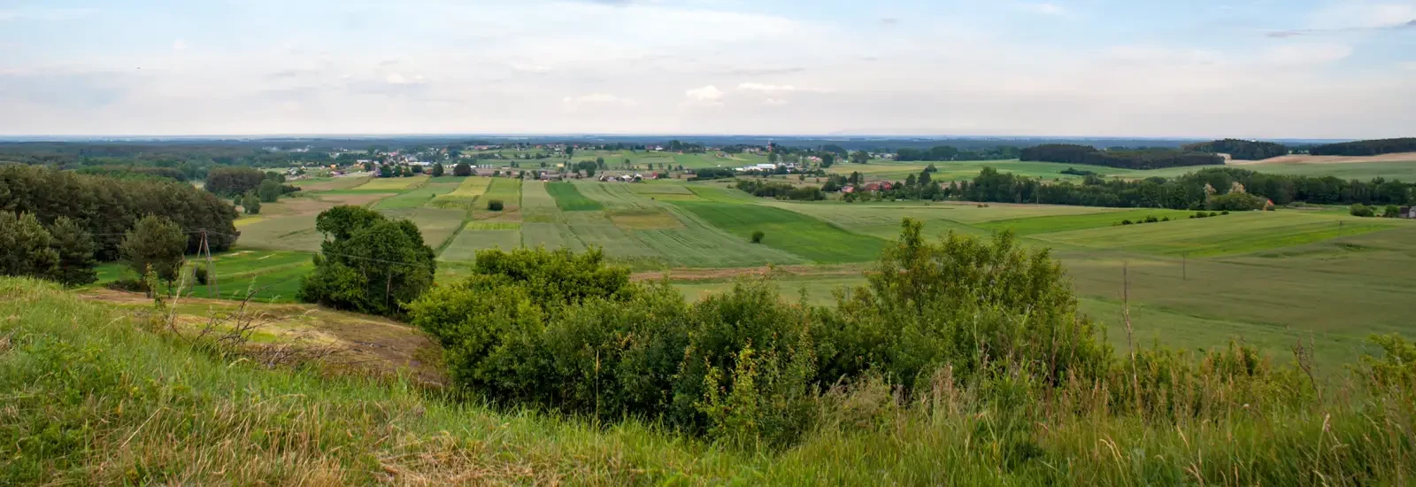 Semi-marathon – La Couronne des Collines de Grande-Pologne — zdjęcie 1 z 6