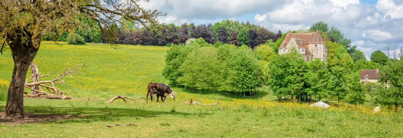Trail des Grands Ducs d'Alençon — zdjęcie 1 z 3
