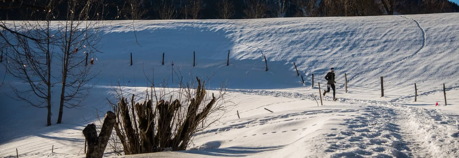 Raidlight Winter Trail — image 1 sur 3