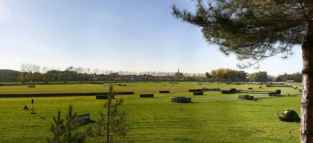 L'Arrachée, Le Lion-d'Angers