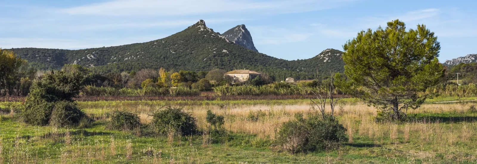 Trail de la REMONTADA — zdjęcie 1 z 6
