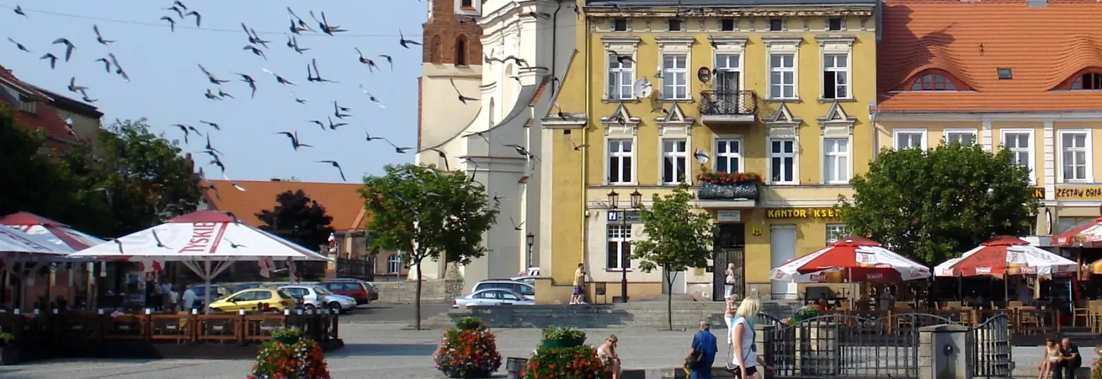 Course de l’Indépendance de Gniezno — zdjęcie 1 z 6