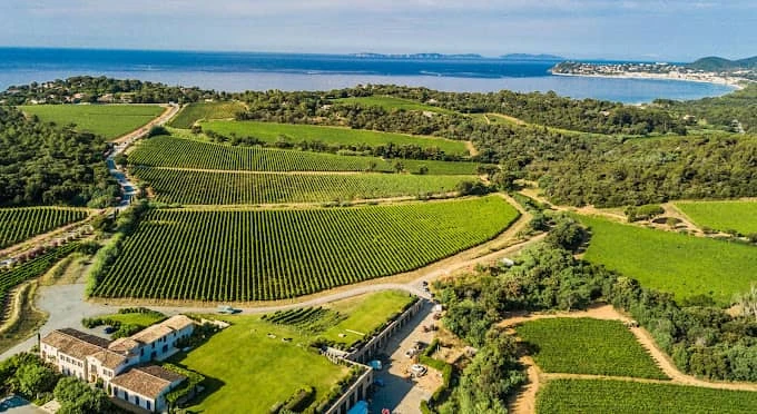 Canicross du Golfe de Saint-Tropez — zdjęcie 1 z 3