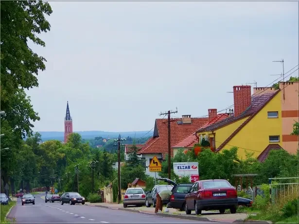 Cross de Żagań pour la Coupe de la Grande Évasion — zdjęcie 1 z 3