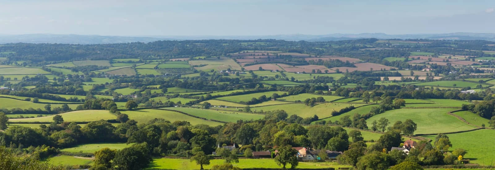 East Devon Round — obrázek 1 z 3