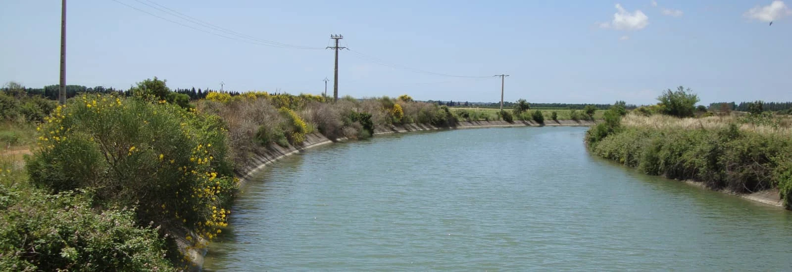Ekiden de Petite Camargue — zdjęcie 1 z 3