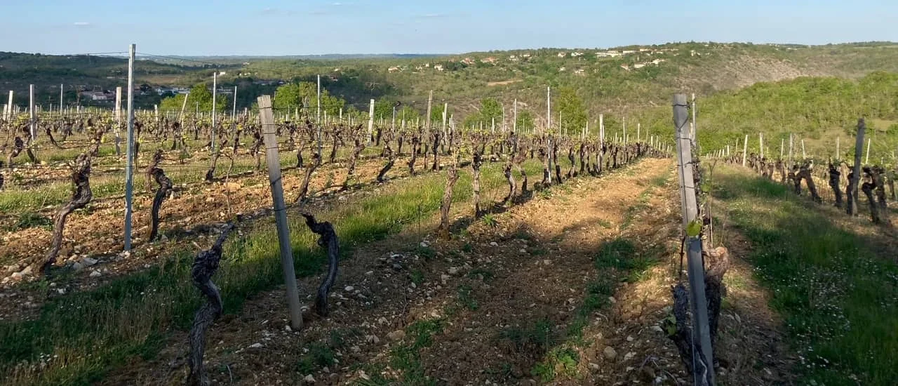 Extra Trail Les Côtes du Lot — zdjęcie 1 z 3